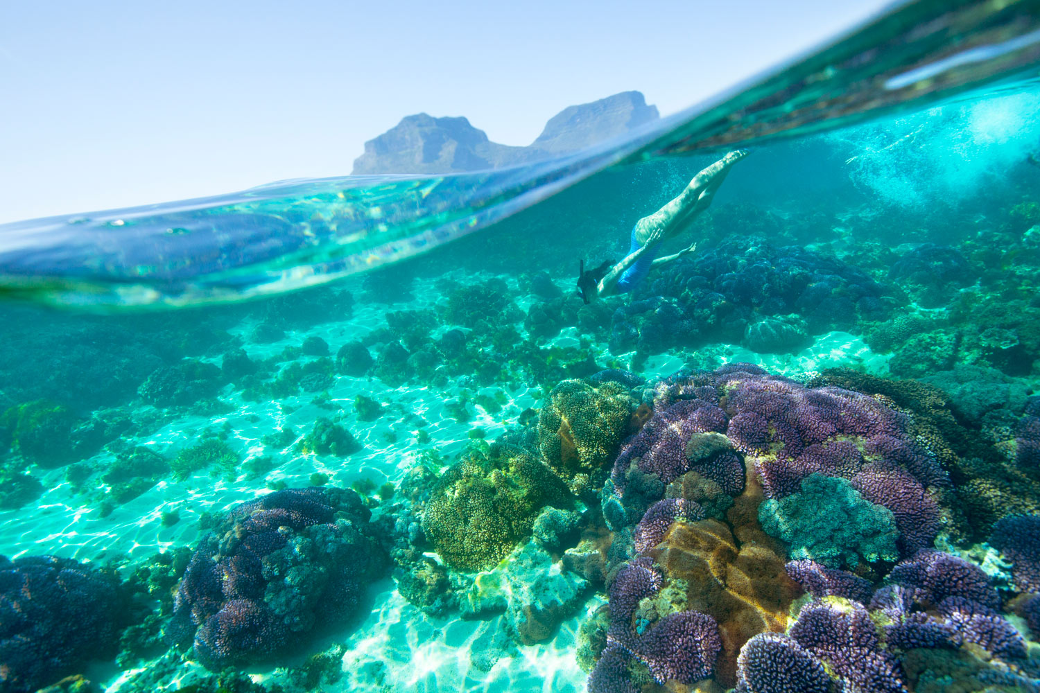 Actividades en la isla de Lord Howe