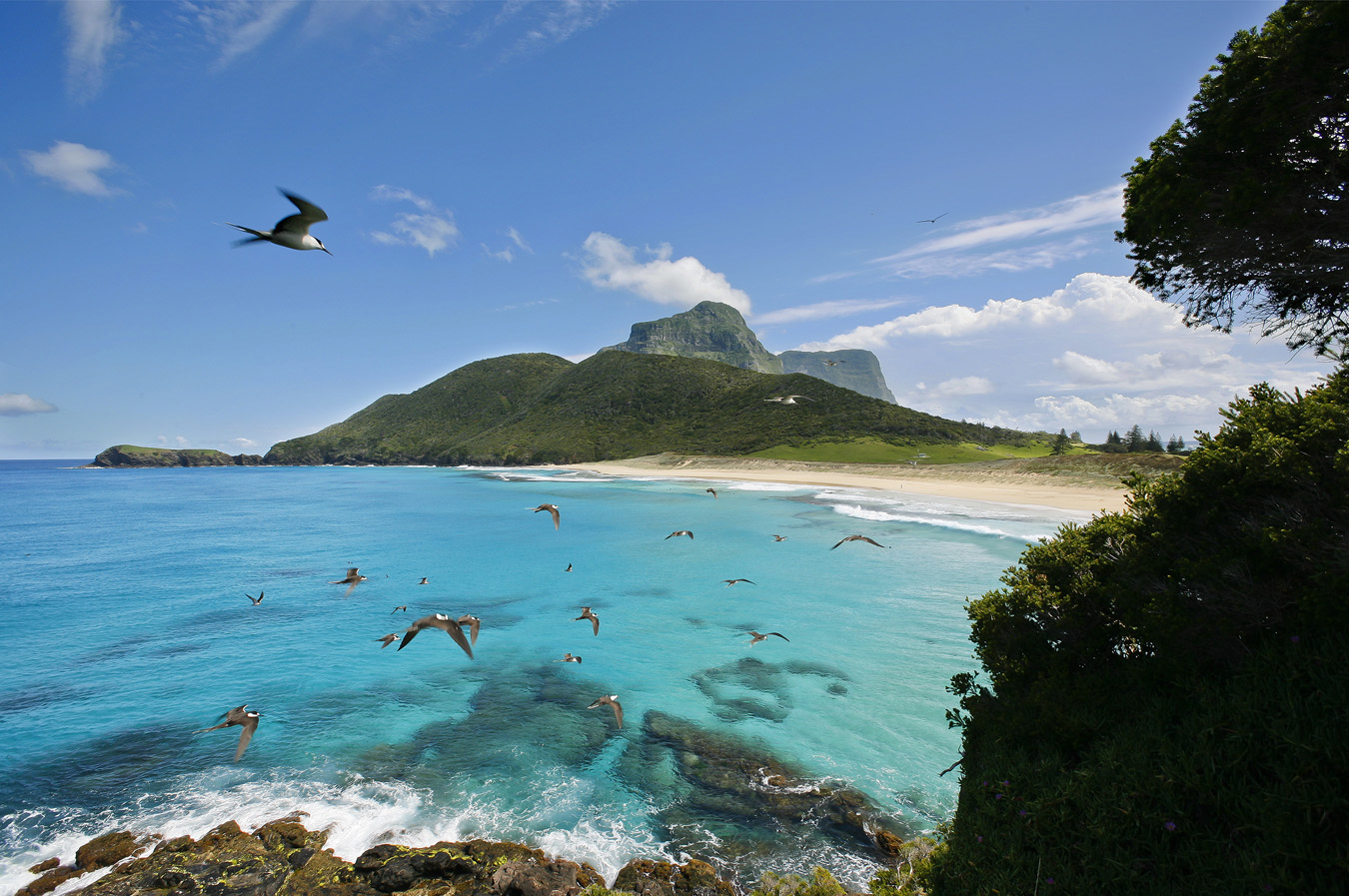 Playas de la isla de Lord Howe